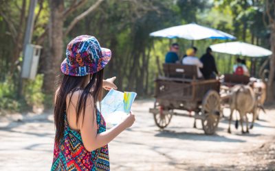From Bullock-Cart Rides to Organic Harvests: Authentic Experiences at Shatavari Eco-Resort