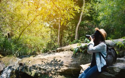 Find Your Perfect Retreat: Shatavari Eco-Resort’s Cottage Trail Guide