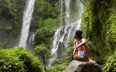 Forest Bathing: How Nature Heals at Shatavari