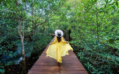 Reconnect with Nature: The Unique Eco-Experience at Shatavari Eco-Resort