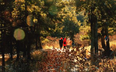 Why Woodlands, Farms & Forest Trails Make Shatavari Eco-Resort an Ideal Family Getaway