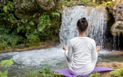 How a Nature Retreat Boosts Wellness and Reduces Stress
