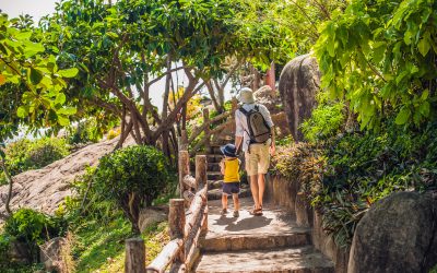 Top 7 Nature Experiences to Try at Shatavari Eco-Resort